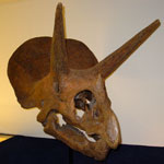 Prehistorie